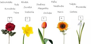 kvety.jpg